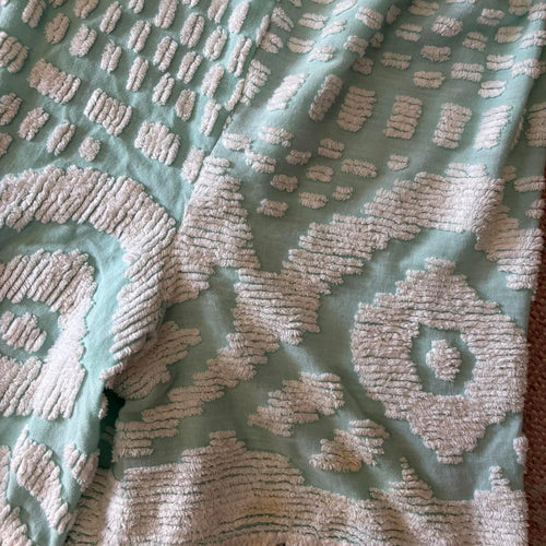 Blue Fringe Chenille Shorts