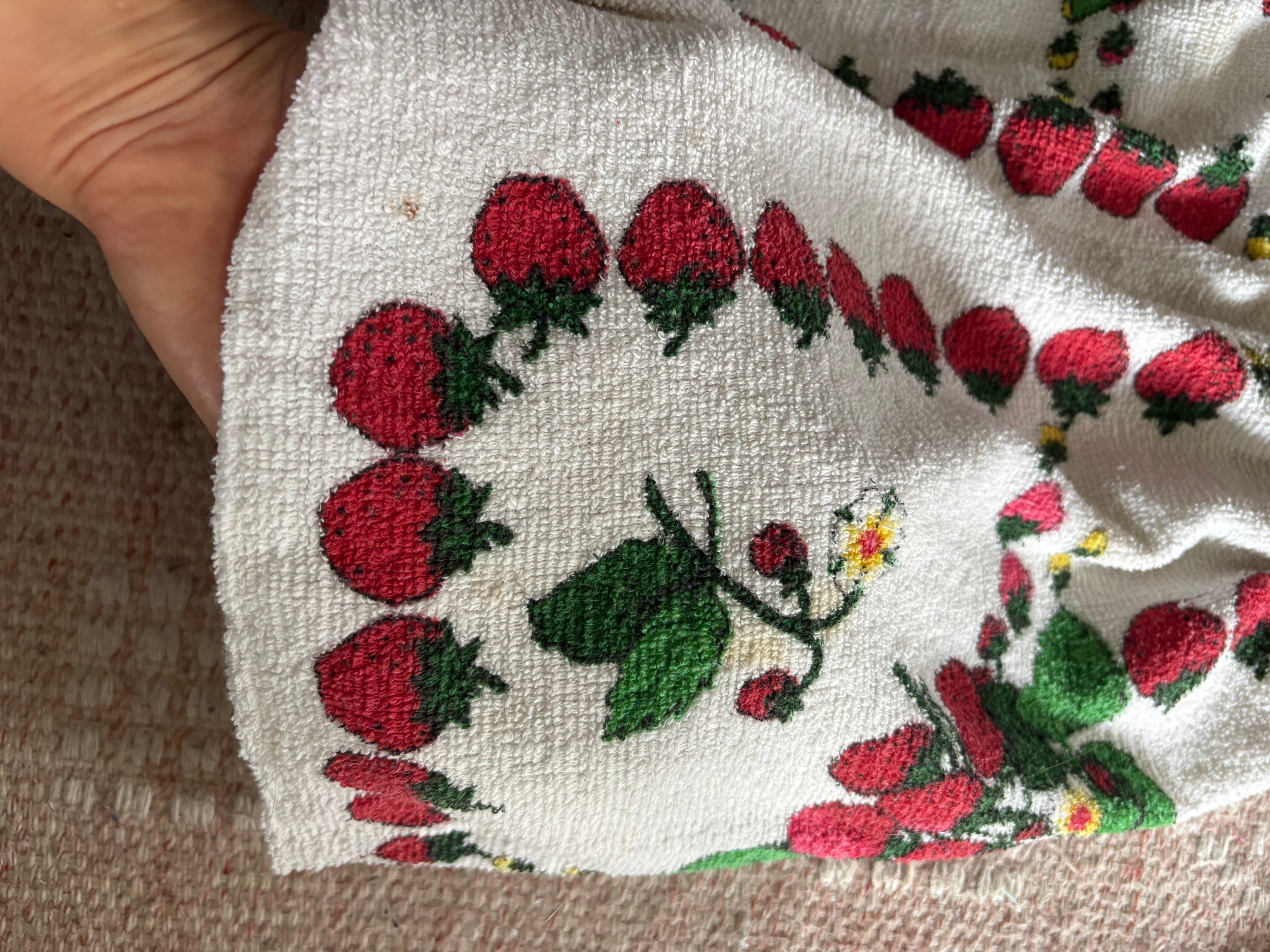 Strawberry Terry cloth play set